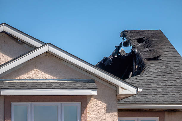 Top rated local Fire Damage Removal specialists in Edgewater, MD